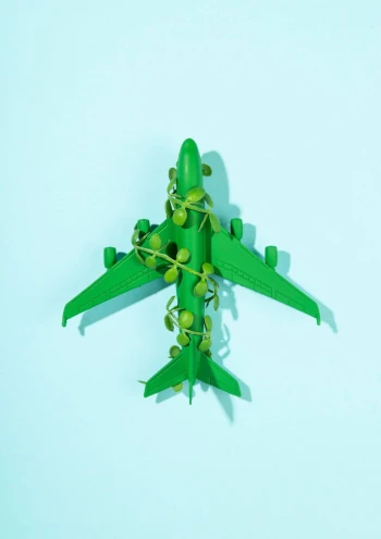 ASE-WOT Sustainable Travel in 2025: Embracing Eco-Friendly Tourism Practices